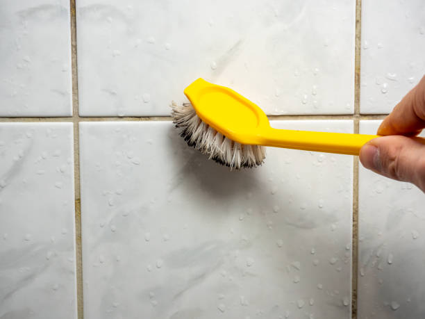 Best Mold Removal Near Me  in Fredericksburg, TX